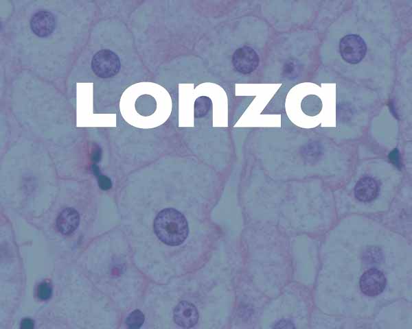2021 lonza v1 | Who we are
