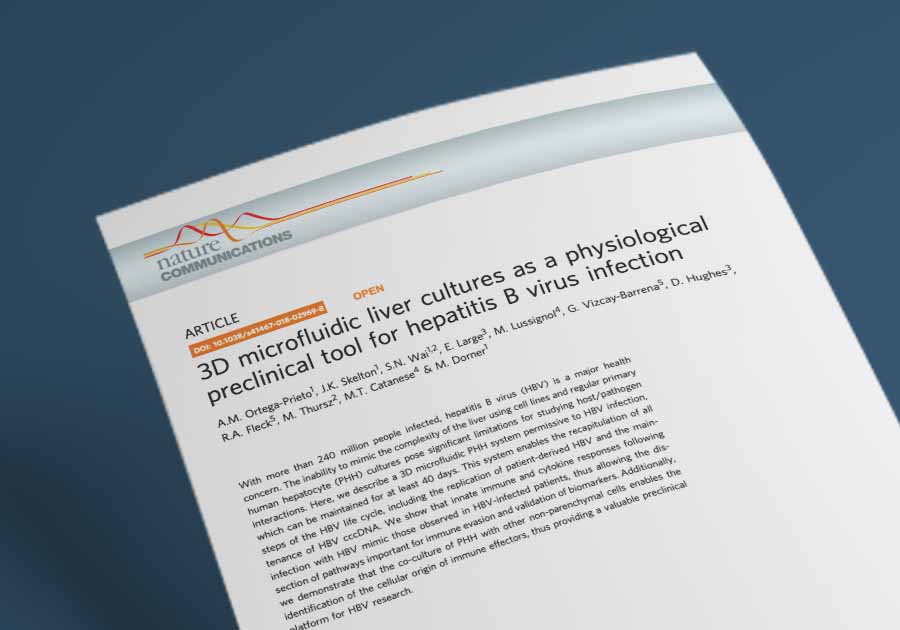 3D microfluidic liver cultures as a physiological preclinical tool for hepatitis B virus infection | Hepatitis B life cycle