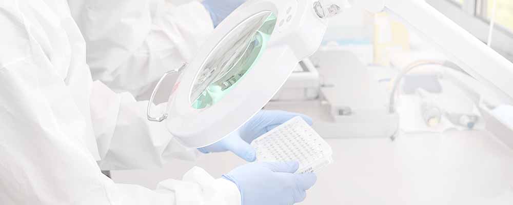 Plate examined in lab