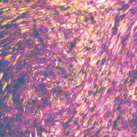 ADME cell image