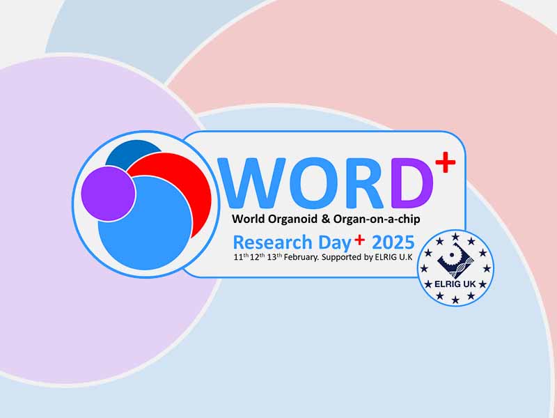 cnb1025 word 2025 event logo v1 |