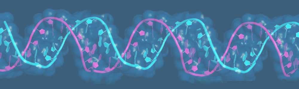 cnb1334 oligo blog dna v1 | Oligonucleotide Therapeutics