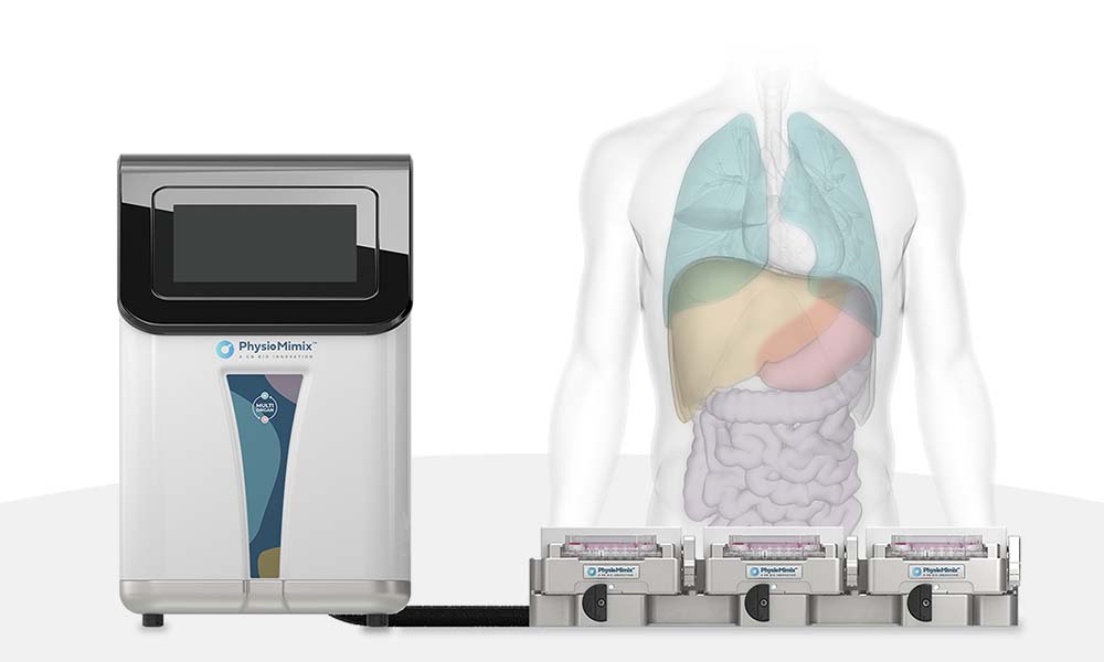 cnb789 dili blog system | immune-mediated dili