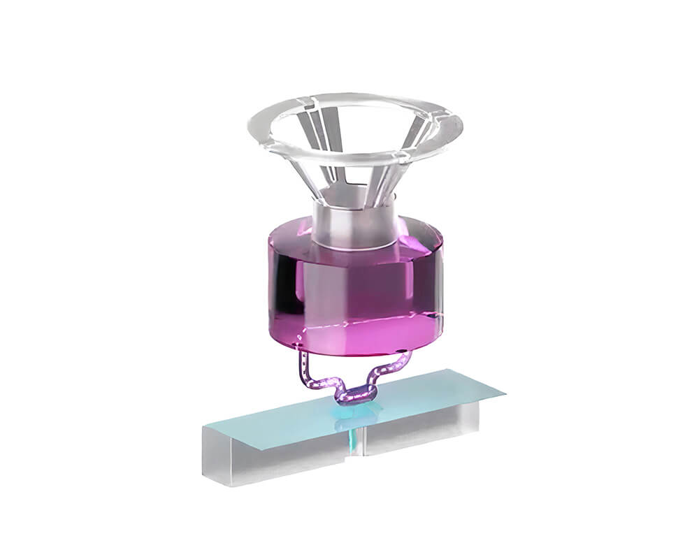 CNB842 model barrier v1 | microphysiological systems