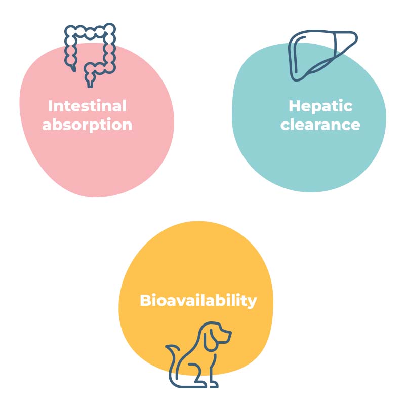 diagram seperate | in vitro human gut/liver models