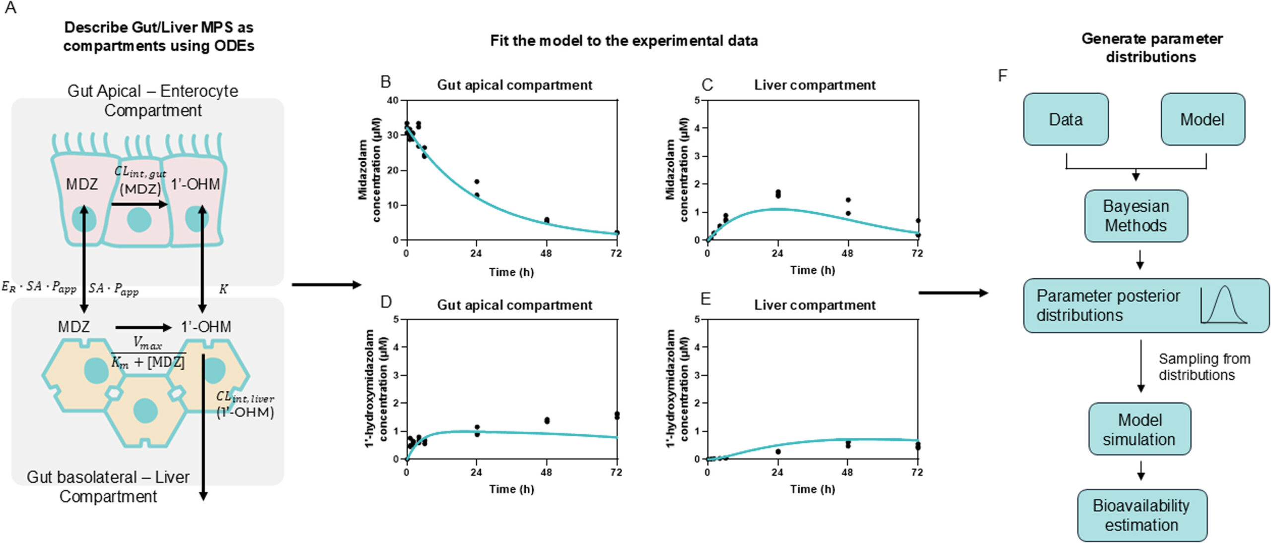 A visual workflow for parameter estimations and posterior distributions leading to the prediction of human oral bioavailability