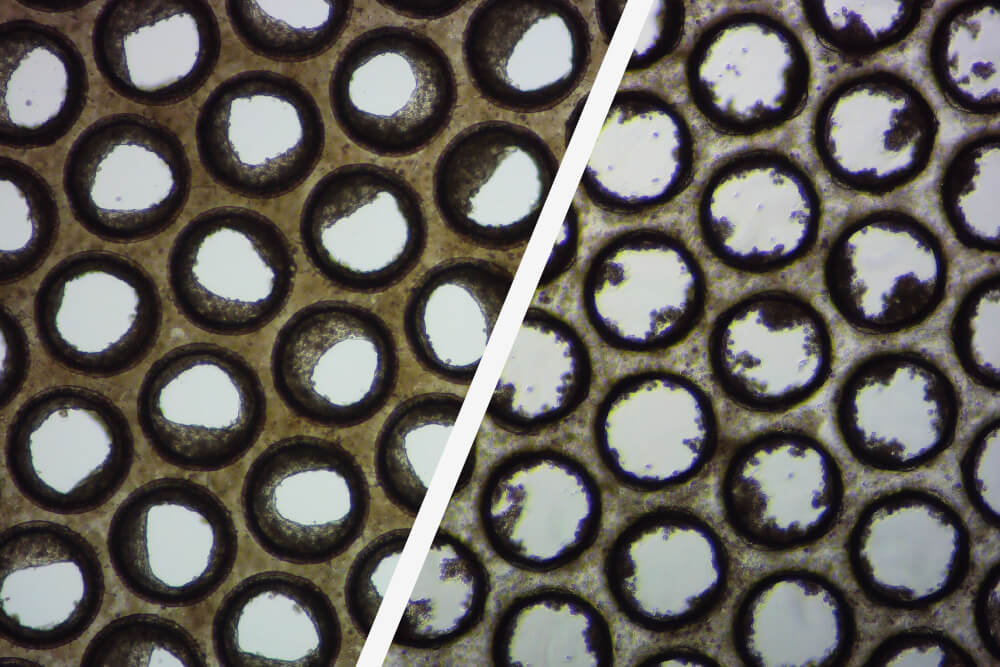 liver tissue quality | 3d validated cells