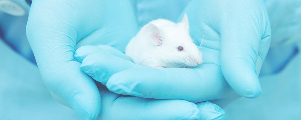 mice mast | animal alternatives