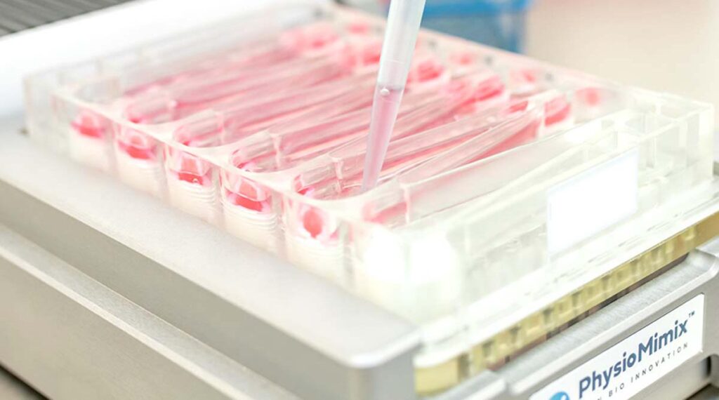 milti chip plates | MASH In vitro services