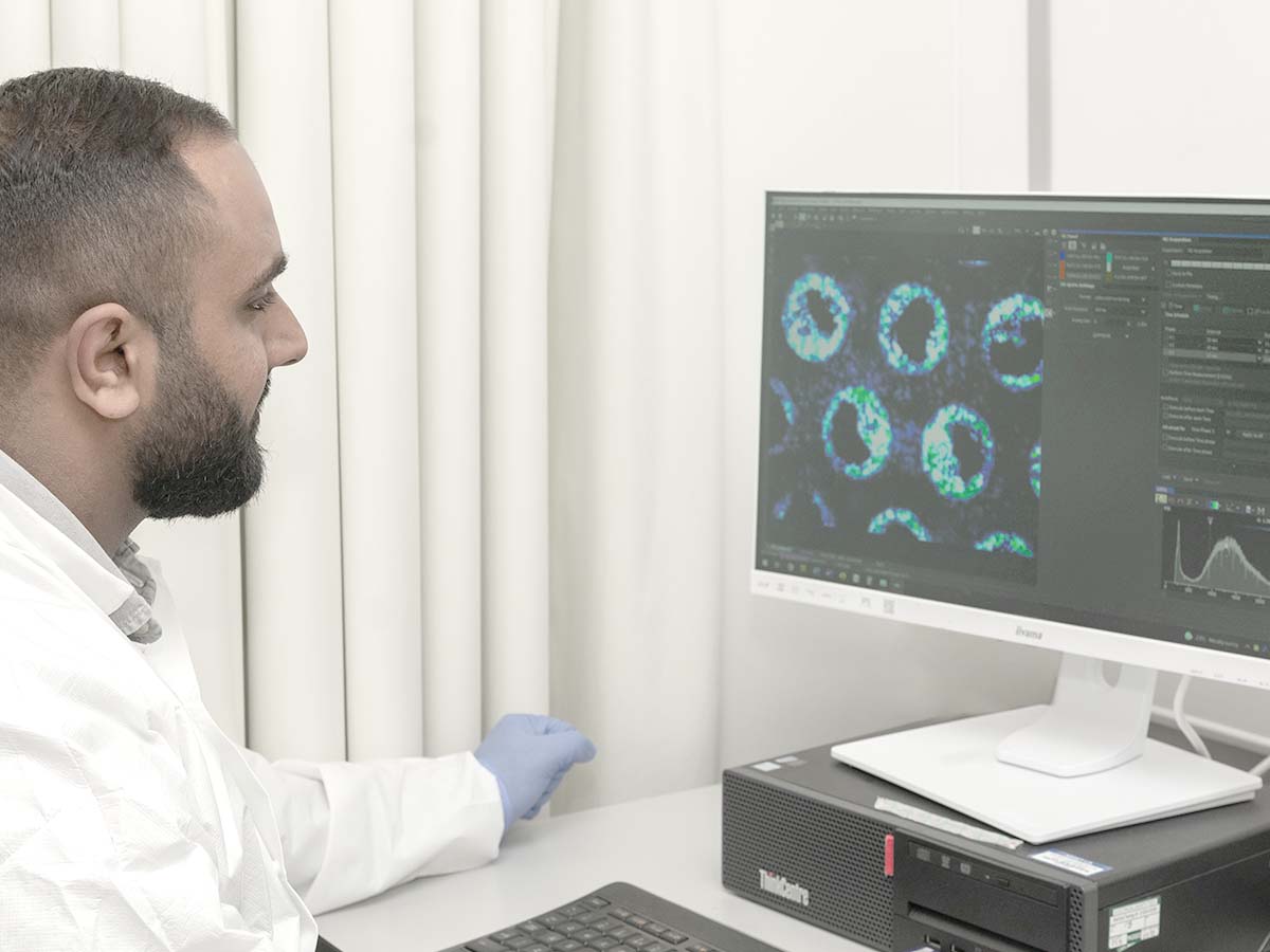 microscope images of organ-on-a-chip models