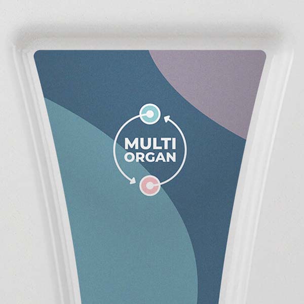 sticker multi | microphysiological systems