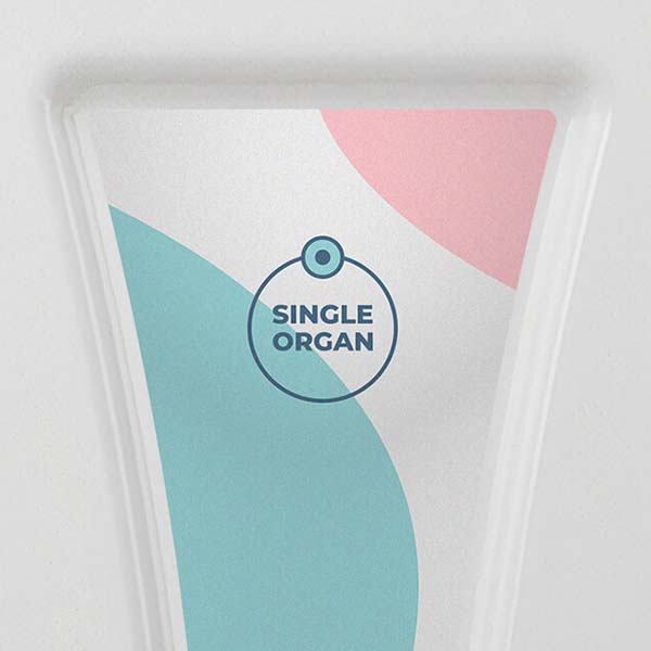 sticker single | microphysiological systems