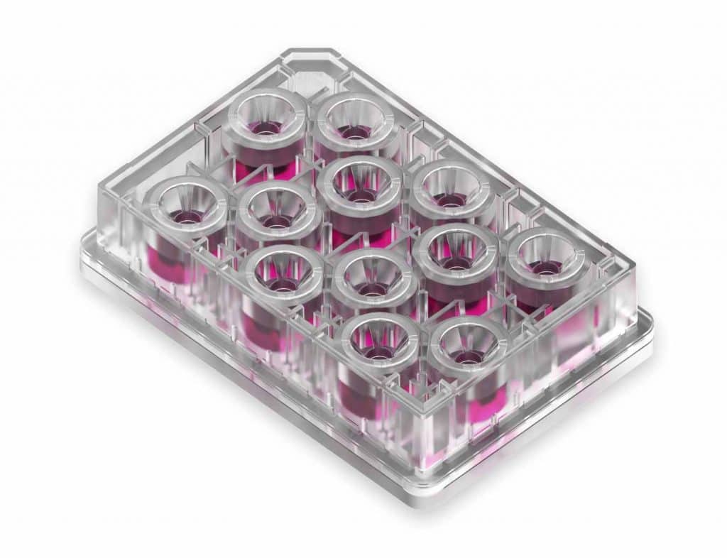 PhysioMimix® Barrier plate