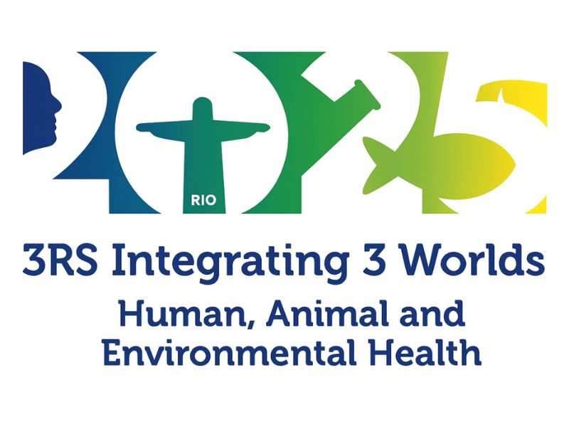WC 13 Logo |