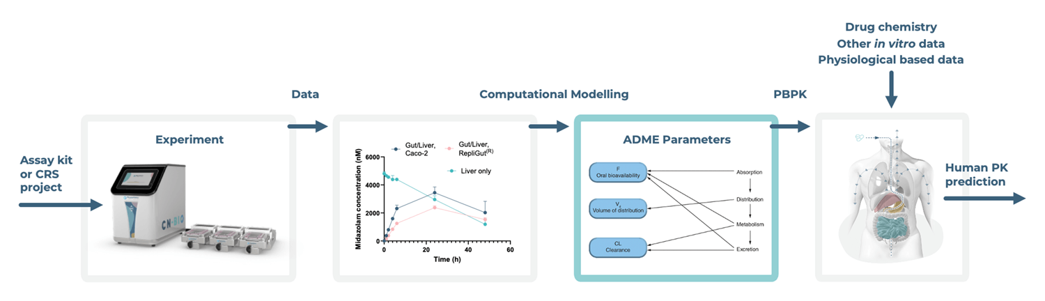 workflow diagram showing the integration of in silico tools with organ-on-a-chip