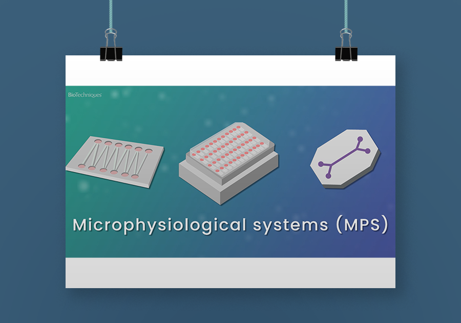 cnb614 poster mock psd landscape v1 2 | organ-on-a-chip technology