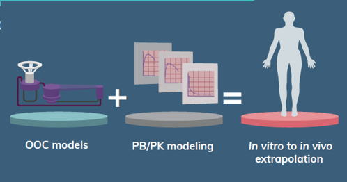 Organ-on-a-chip models plus PB/PK modeling equal better in vitro to invivo extrapolation.
