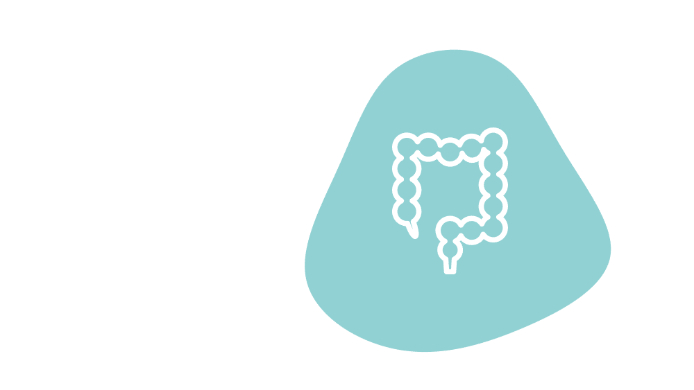 Gut icon graphic