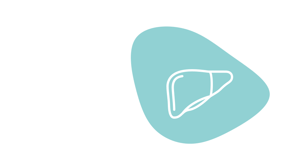 Liver icon graphic