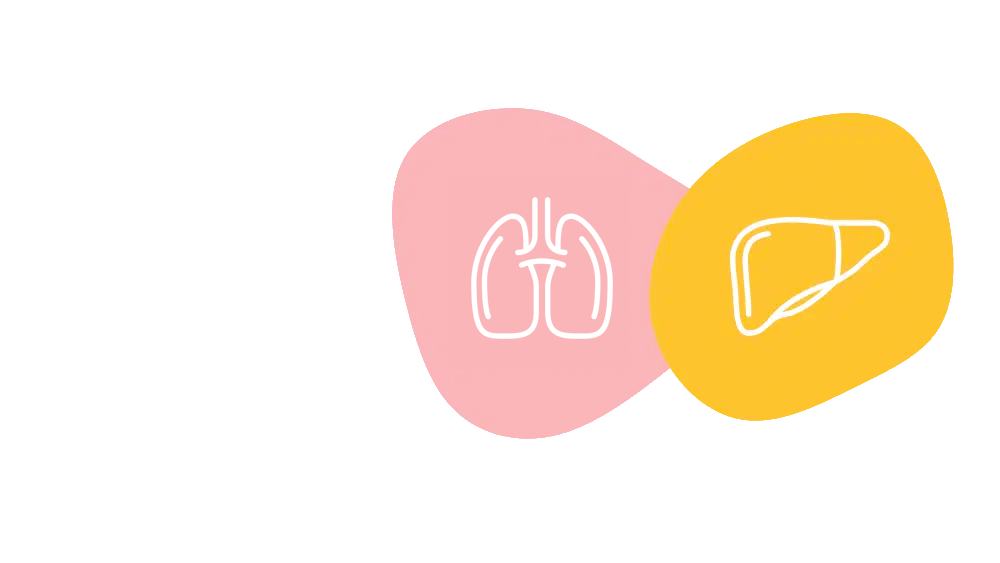 PhysioMimix front lung liver over | organ-on-a-chip