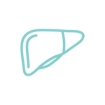 icon-nash-1-150x150.png